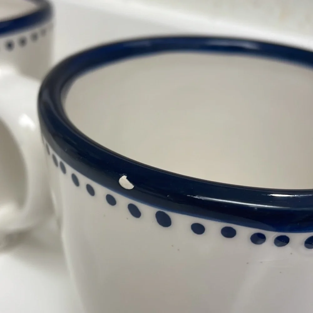 Pottery Barn cup mug set